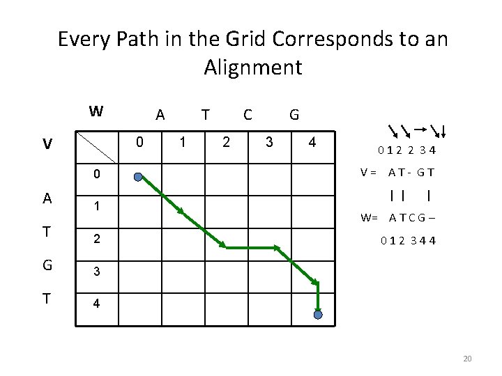 Every Path in the Grid Corresponds to an Alignment W V 0 0 A