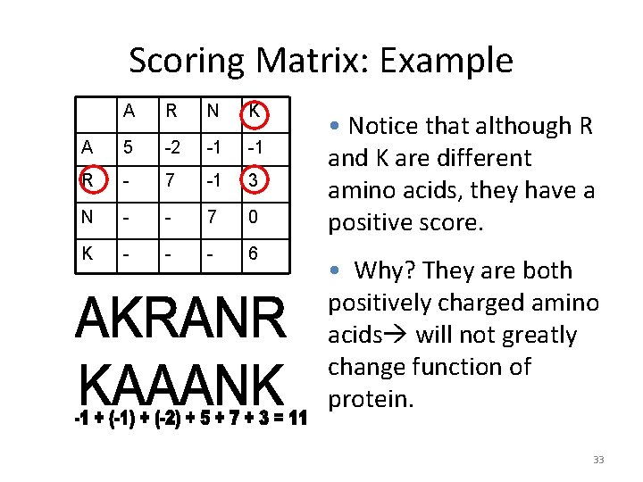 Scoring Matrix: Example A R N K A 5 -2 -1 -1 R -