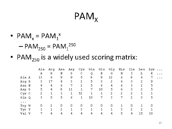 PAMX • PAMx = PAM 1 x – PAM 250 = PAM 1250 •