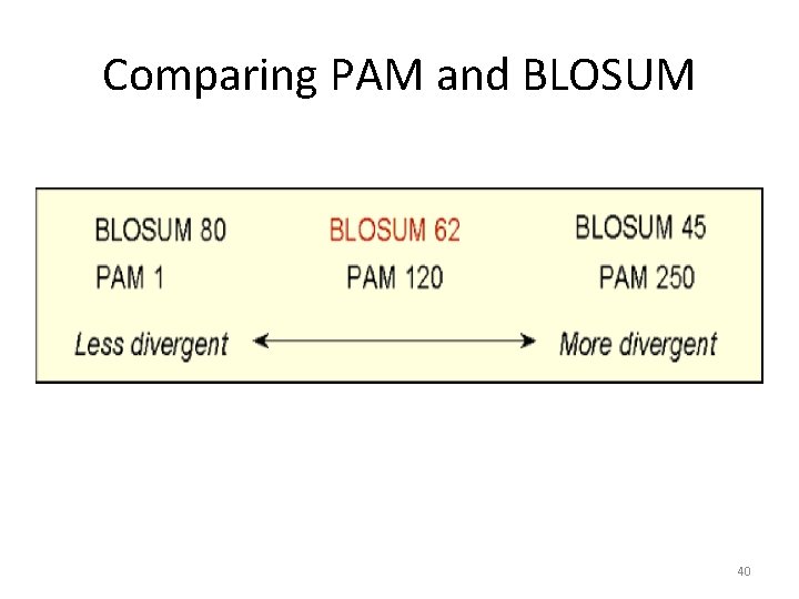 Comparing PAM and BLOSUM 40 