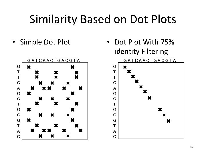 Similarity Based on Dot Plots • Simple Dot Plot • Dot Plot With 75%