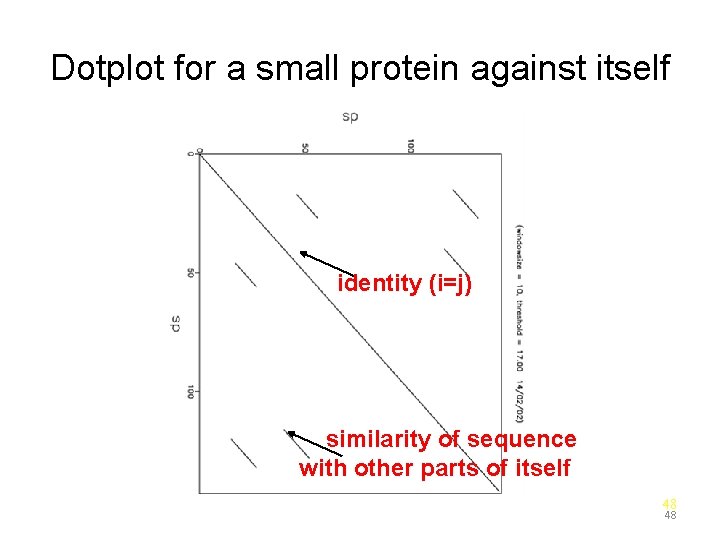 Dotplot for a small protein against itself identity (i=j) similarity of sequence with other