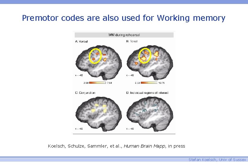 Premotor codes are also used for Working memory Koelsch, Schulze, Sammler, et al. ,