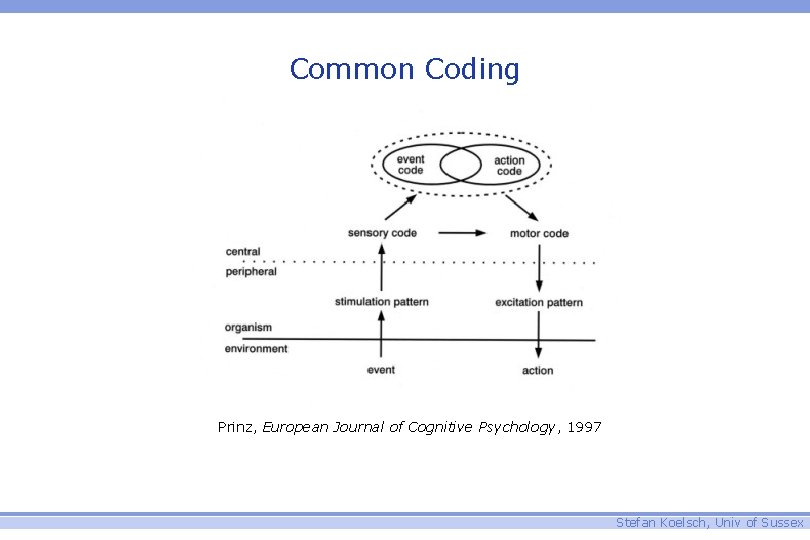 Common Coding Prinz, European Journal of Cognitive Psychology, 1997 Stefan Koelsch, Univ of Sussex