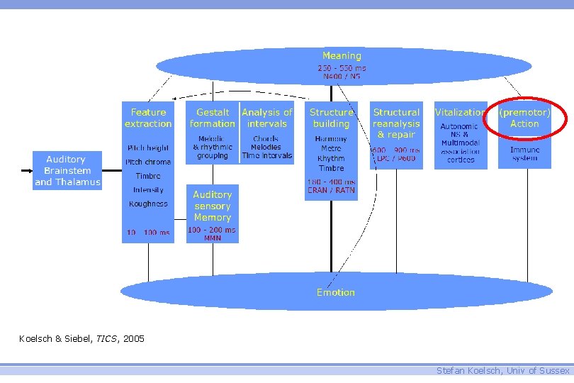 Koelsch & Siebel, TICS, 2005 Stefan Koelsch, Univ of Sussex 