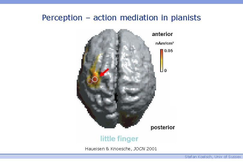Perception – action mediation in pianists Haueisen & Knoesche, JOCN 2001 Stefan Koelsch, Univ