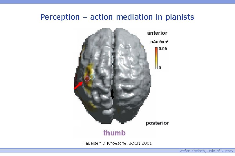 Perception – action mediation in pianists Haueisen & Knoesche, JOCN 2001 Stefan Koelsch, Univ