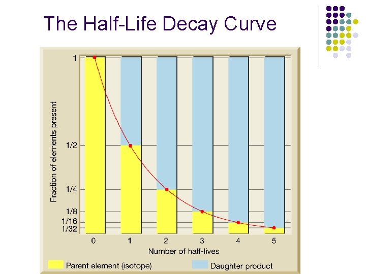 The Half-Life Decay Curve The Half-Life Decay Curve
