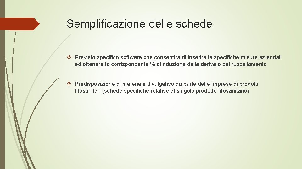 Semplificazione delle schede Previsto specifico software che consentirà di inserire le specifiche misure aziendali