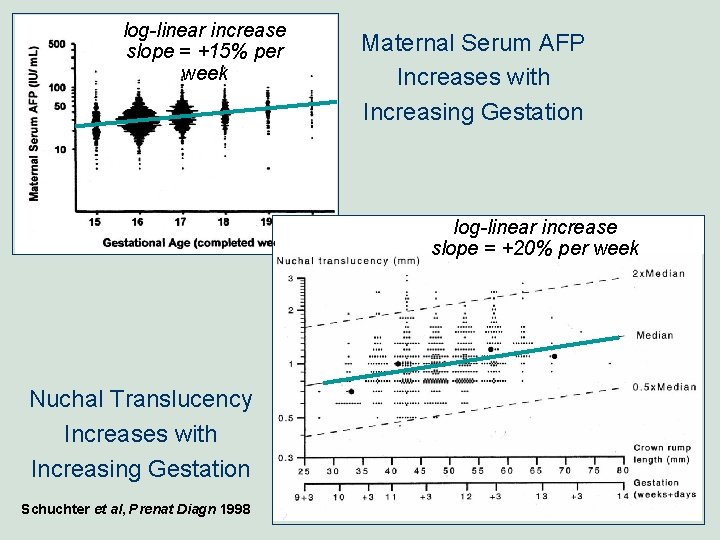 log-linear increase slope = +15% per week Maternal Serum AFP Increases with Increasing Gestation log-linear increase slope = +15% per week Maternal Serum AFP Increases with Increasing Gestation
