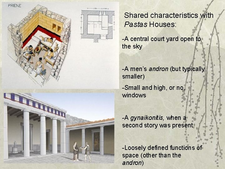 Shared characteristics with Pastas Houses: -A central court yard open to the sky -A