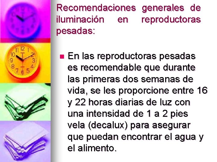 Recomendaciones generales de iluminación en reproductoras pesadas: n En las reproductoras pesadas es recomendable