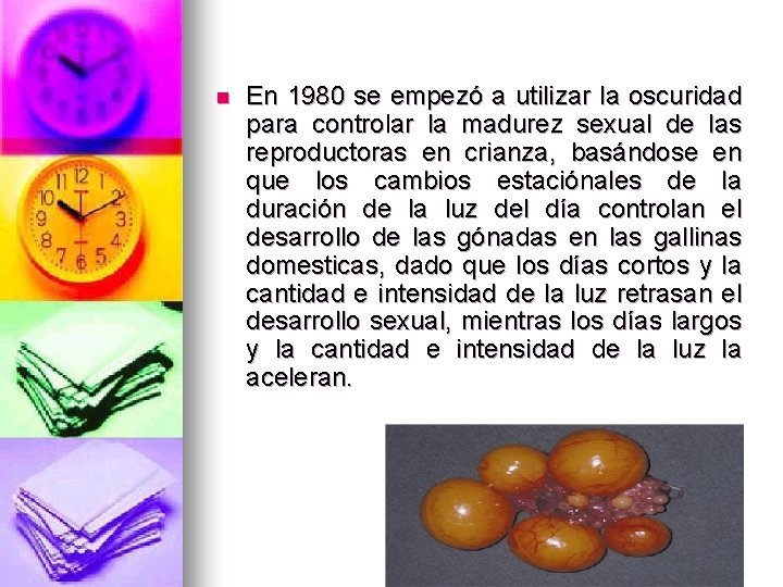 n En 1980 se empezó a utilizar la oscuridad para controlar la madurez sexual