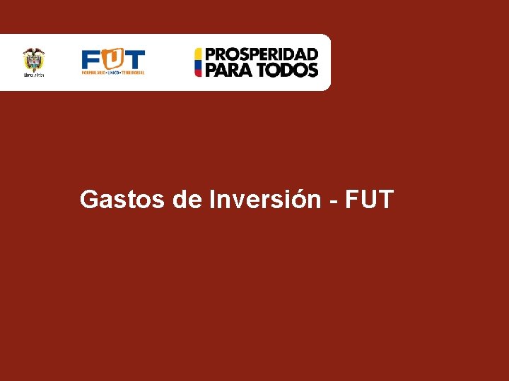 Gastos de Inversión - FUT 