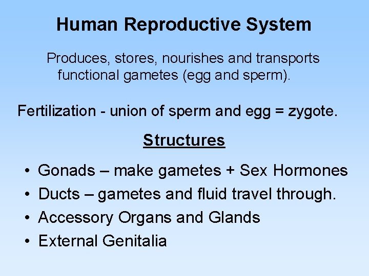 Human Reproductive System Produces, stores, nourishes and transports functional gametes (egg and sperm). Fertilization