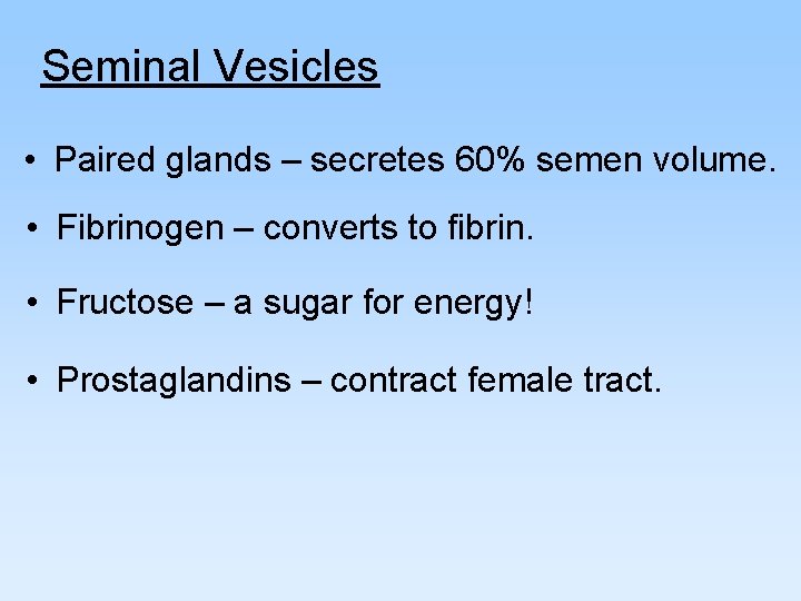 Seminal Vesicles • Paired glands – secretes 60% semen volume. • Fibrinogen – converts