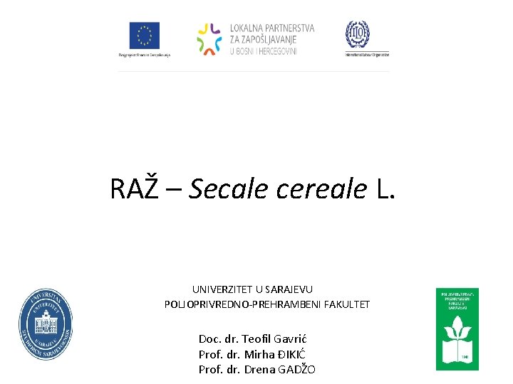 RAŽ – Secale cereale L. UNIVERZITET U SARAJEVU POLJOPRIVREDNO-PREHRAMBENI FAKULTET Doc. dr. Teofil Gavrić