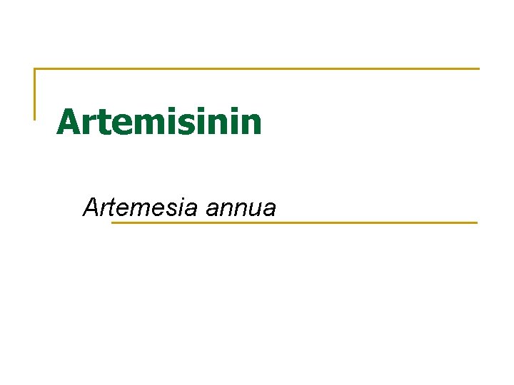 Artemisinin Artemesia annua 