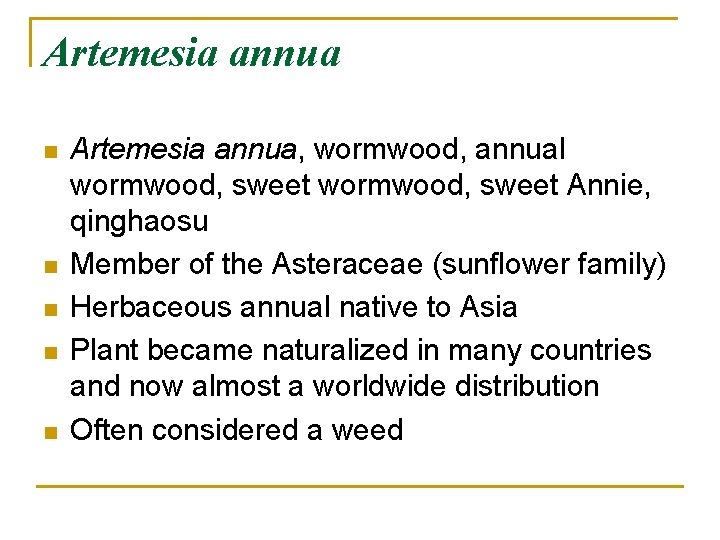 Artemesia annua n n n Artemesia annua, wormwood, annual wormwood, sweet Annie, qinghaosu Member