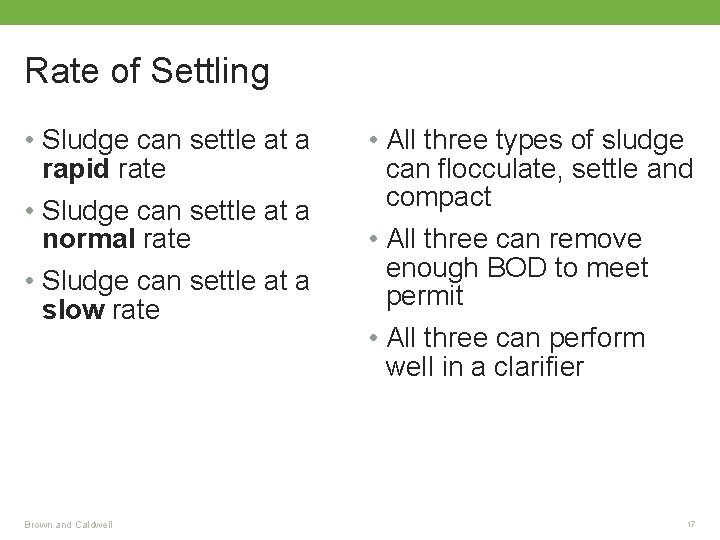 Rate of Settling • Sludge can settle at a rapid rate • Sludge can
