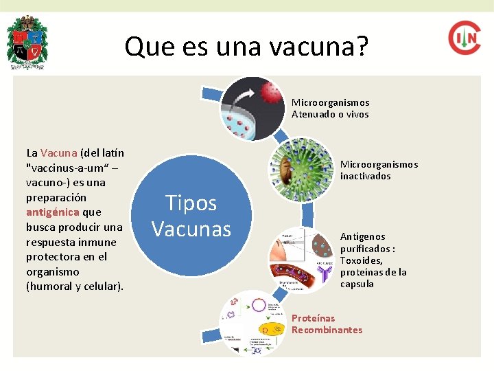 Que es una vacuna? Microorganismos Atenuado o vivos La Vacuna (del latín "vaccinus-a-um“ –