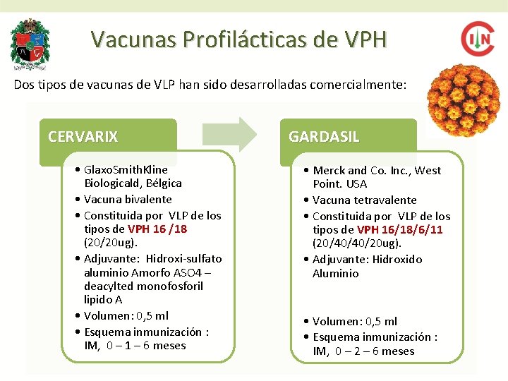 Vacunas Profilácticas de VPH Dos tipos de vacunas de VLP han sido desarrolladas comercialmente: