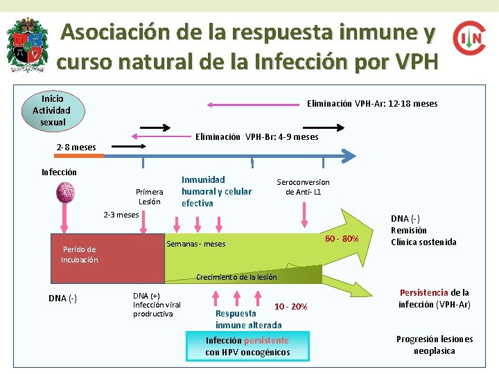 Asociación de la respuesta inmune y curso natural de la Infección por VPH Inicio Asociación de la respuesta inmune y curso natural de la Infección por VPH Inicio