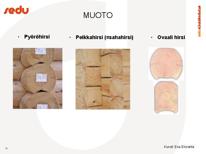 MUOTO • Pyöröhirsi 14 • Pelkkahirsi (=sahahirsi) • Ovaali hirsi Kuvat: Esa Eloranta 