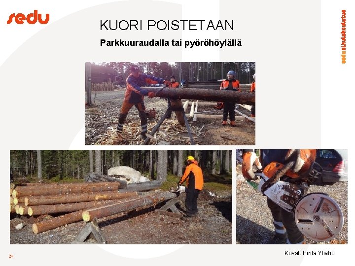 KUORI POISTETAAN Parkkuuraudalla tai pyöröhöylällä 24 Kuvat: Pirita Yliaho 