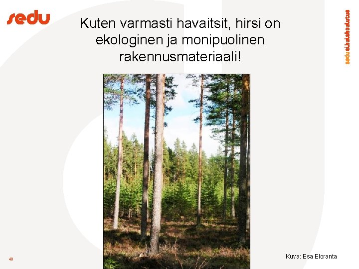 Kuten varmasti havaitsit, hirsi on ekologinen ja monipuolinen rakennusmateriaali! 40 Kuva: Esa Eloranta 