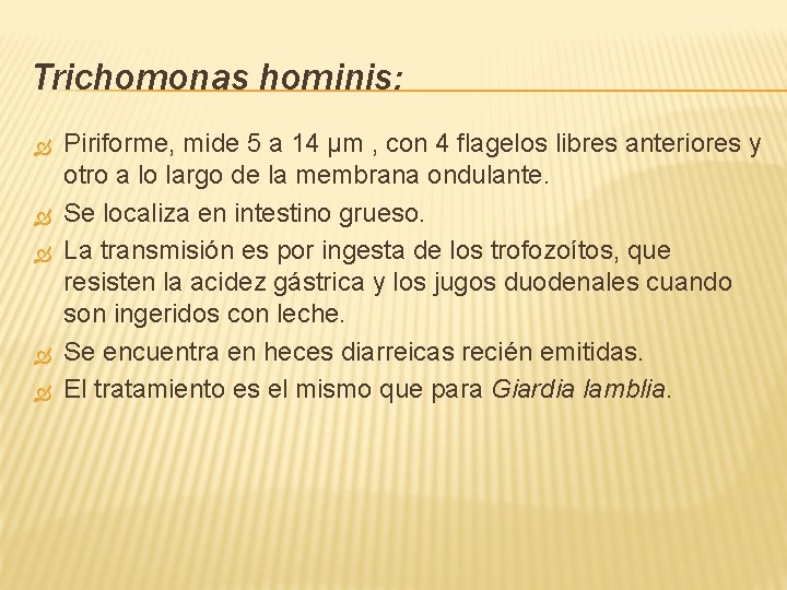 Trichomonas hominis: Piriforme, mide 5 a 14 µm , con 4 flagelos libres anteriores