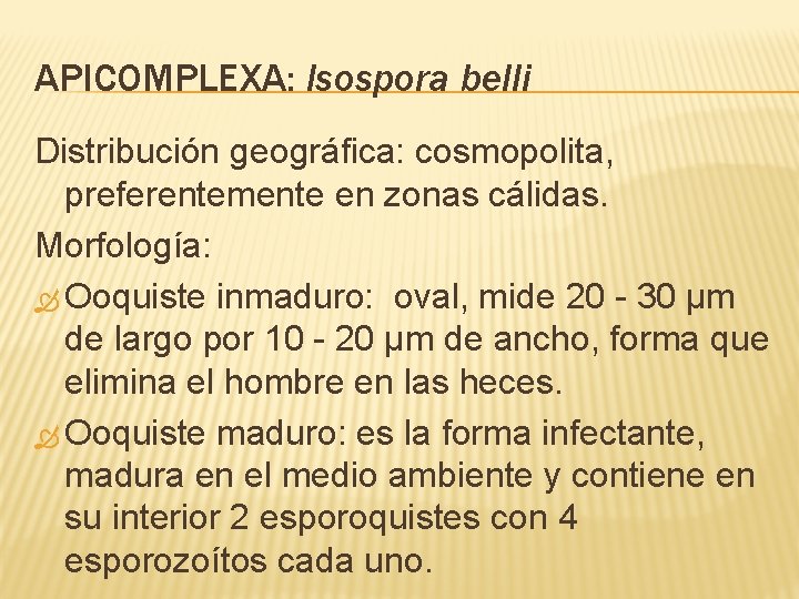 APICOMPLEXA: Isospora belli Distribución geográfica: cosmopolita, preferentemente en zonas cálidas. Morfología: Ooquiste inmaduro: oval,