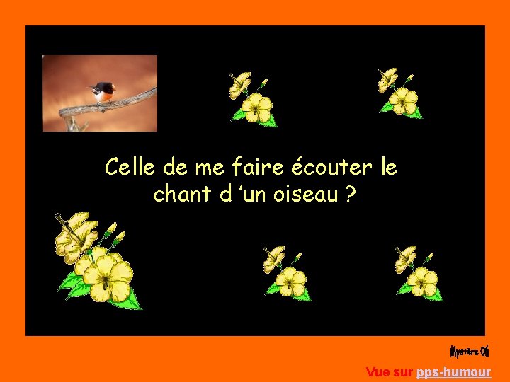 Celle de me faire écouter le chant d ’un oiseau ? Vue sur pps-humour