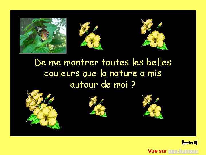 De me montrer toutes les belles couleurs que la nature a mis autour de