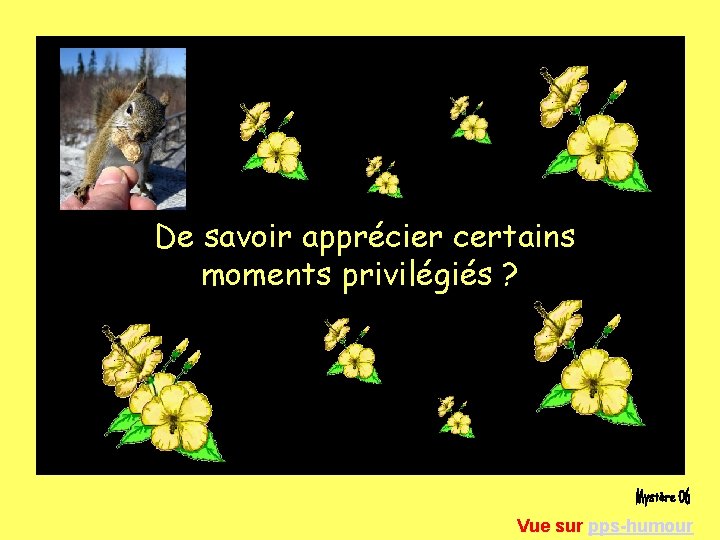 De savoir apprécier certains moments privilégiés ? Vue sur pps-humour 