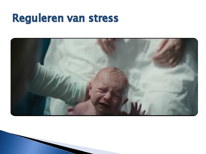 Reguleren van stress 