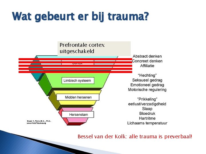 Wat gebeurt er bij trauma? Prefrontale cortex uitgeschakeld Bessel van der Kolk: alle trauma