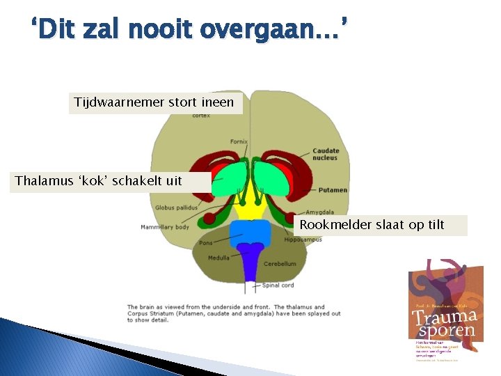 ‘Dit zal nooit overgaan…’ Tijdwaarnemer stort ineen Thalamus ‘kok’ schakelt uit Rookmelder slaat op