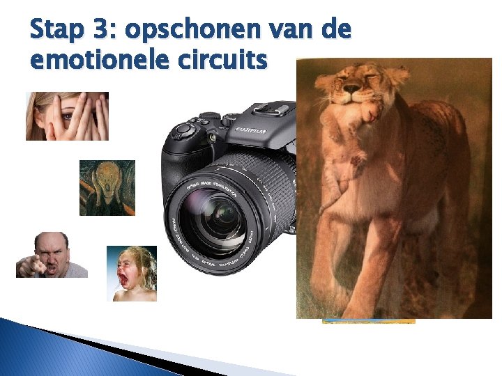 Stap 3: opschonen van de emotionele circuits 