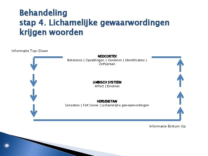 Behandeling stap 4. Lichamelijke gewaarwordingen krijgen woorden Informatie Top-Down NEOCORTEX Betekenis | Opvattingen |