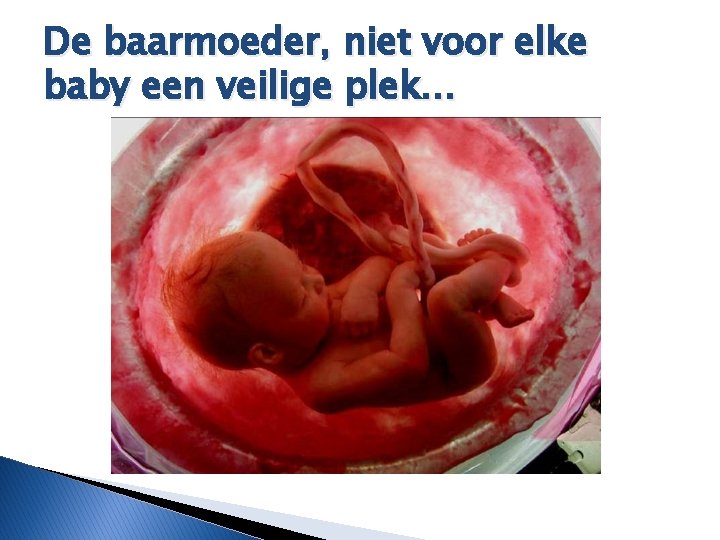 De baarmoeder, niet voor elke baby een veilige plek… 