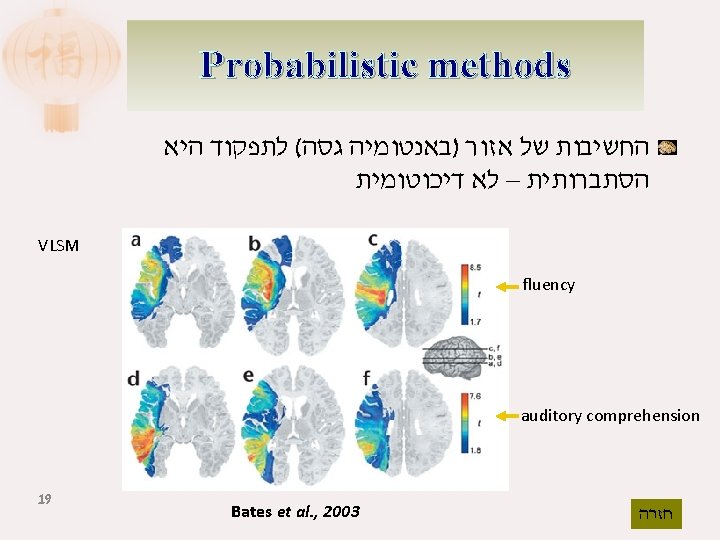 Probabilistic methods החשיבות של אזור )באנטומיה גסה( לתפקוד היא הסתברותית – לא דיכוטומית VLSM