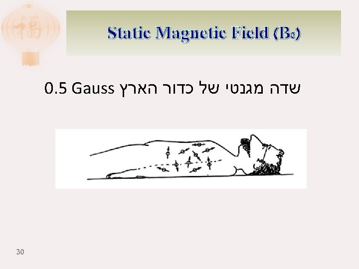 Static Magnetic Field (B 0) 0. 5 Gauss שדה מגנטי של כדור הארץ 30
