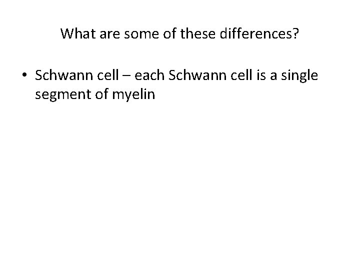 What are some of these differences? • Schwann cell – each Schwann cell is