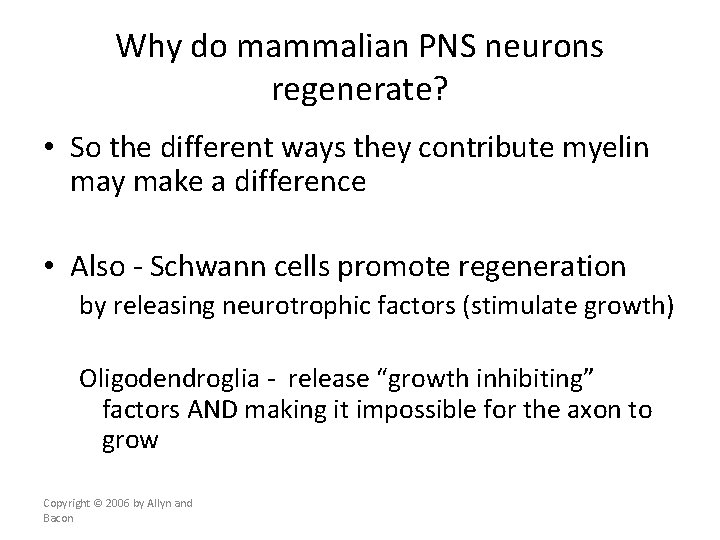 Why do mammalian PNS neurons regenerate? • So the different ways they contribute myelin