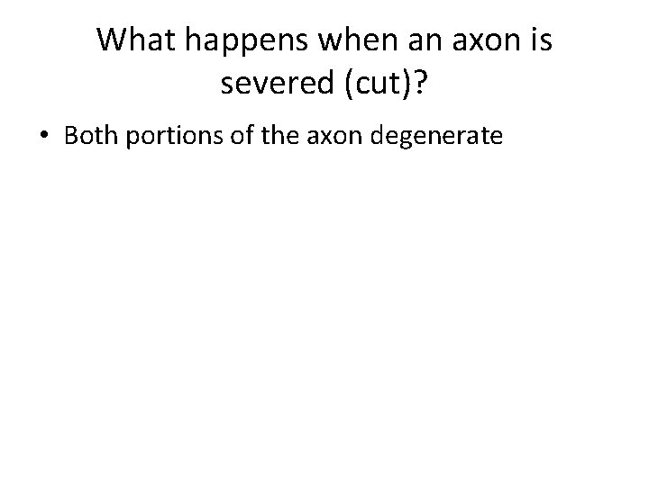 What happens when an axon is severed (cut)? • Both portions of the axon