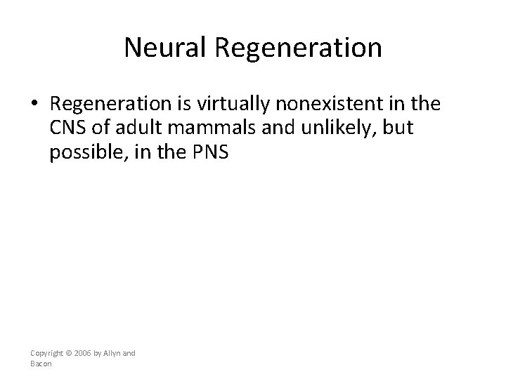 Neural Regeneration • Regeneration is virtually nonexistent in the CNS of adult mammals and