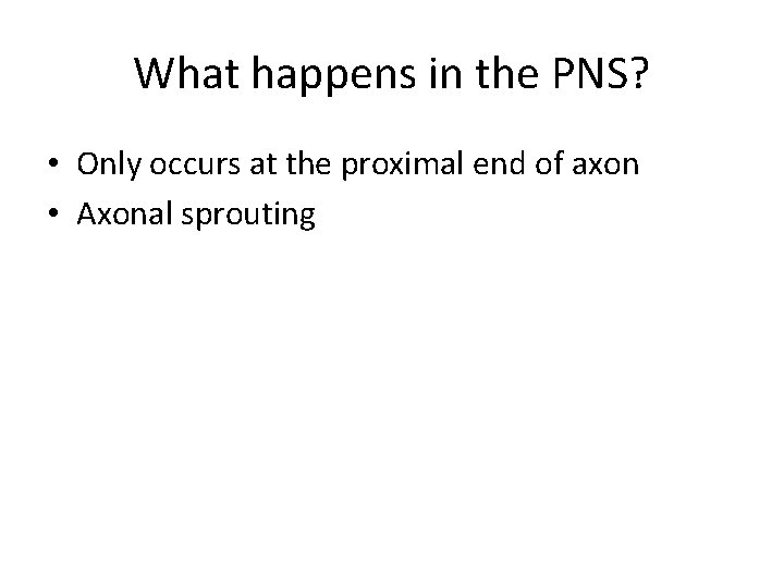 What happens in the PNS? • Only occurs at the proximal end of axon