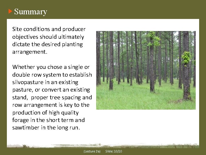 Summary Site conditions and producer objectives should ultimately dictate the desired planting arrangement. Whether