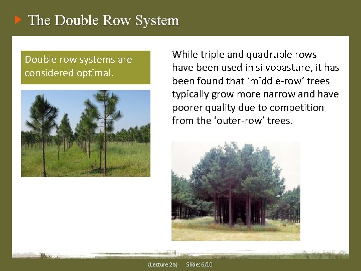 The Double Row System Double row systems are considered optimal. While triple and quadruple